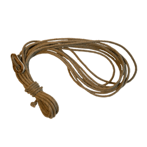 This is the Avatar Image for the Lasso AI Voice and Text to Speech Generator